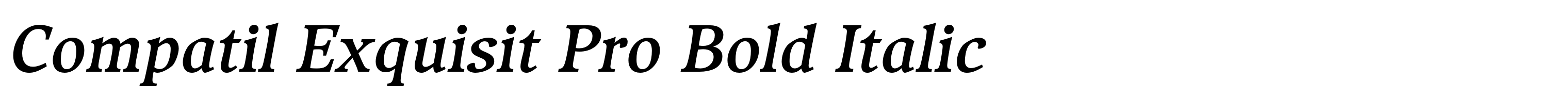 Compatil Exquisit Pro Bold Italic